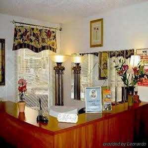 Hollywood Vip Hotel 2*